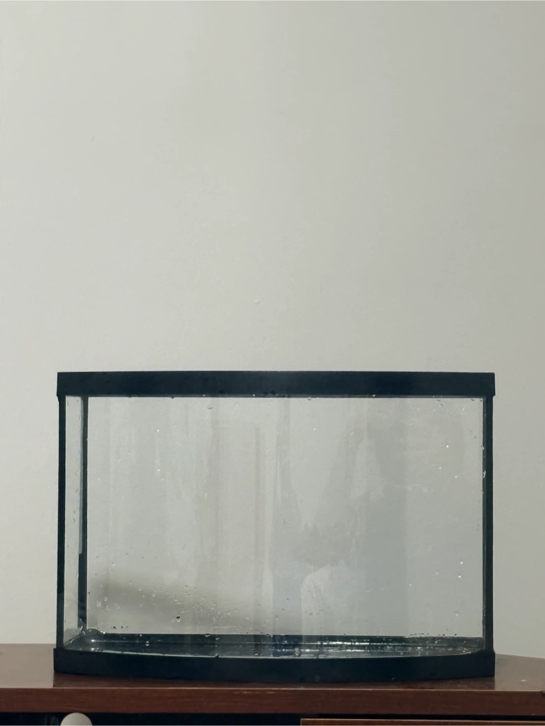 Curved front glass aquarium tank - photo 3