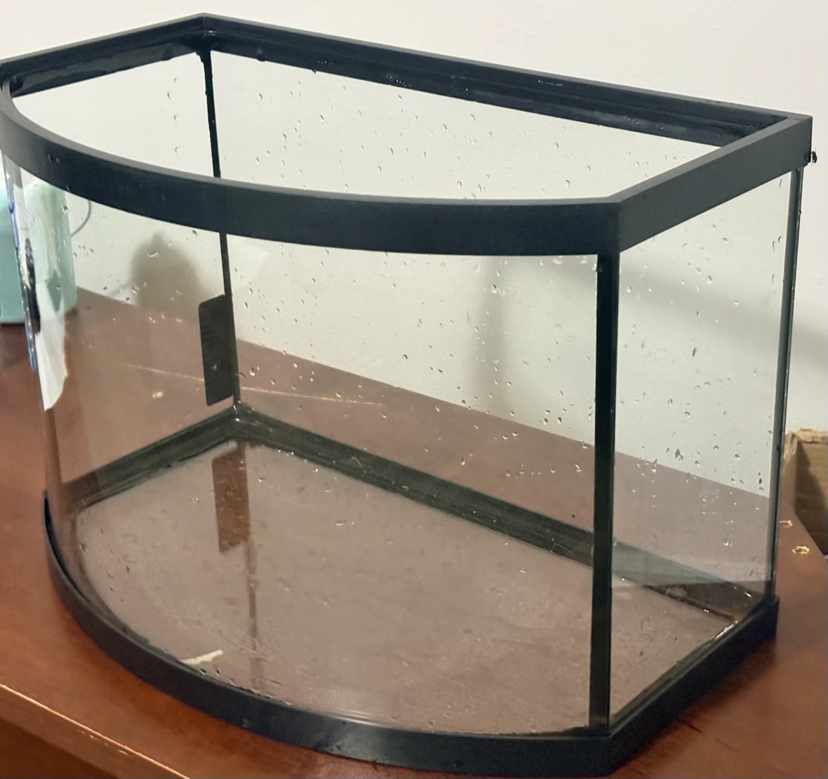 Curved front glass aquarium tank