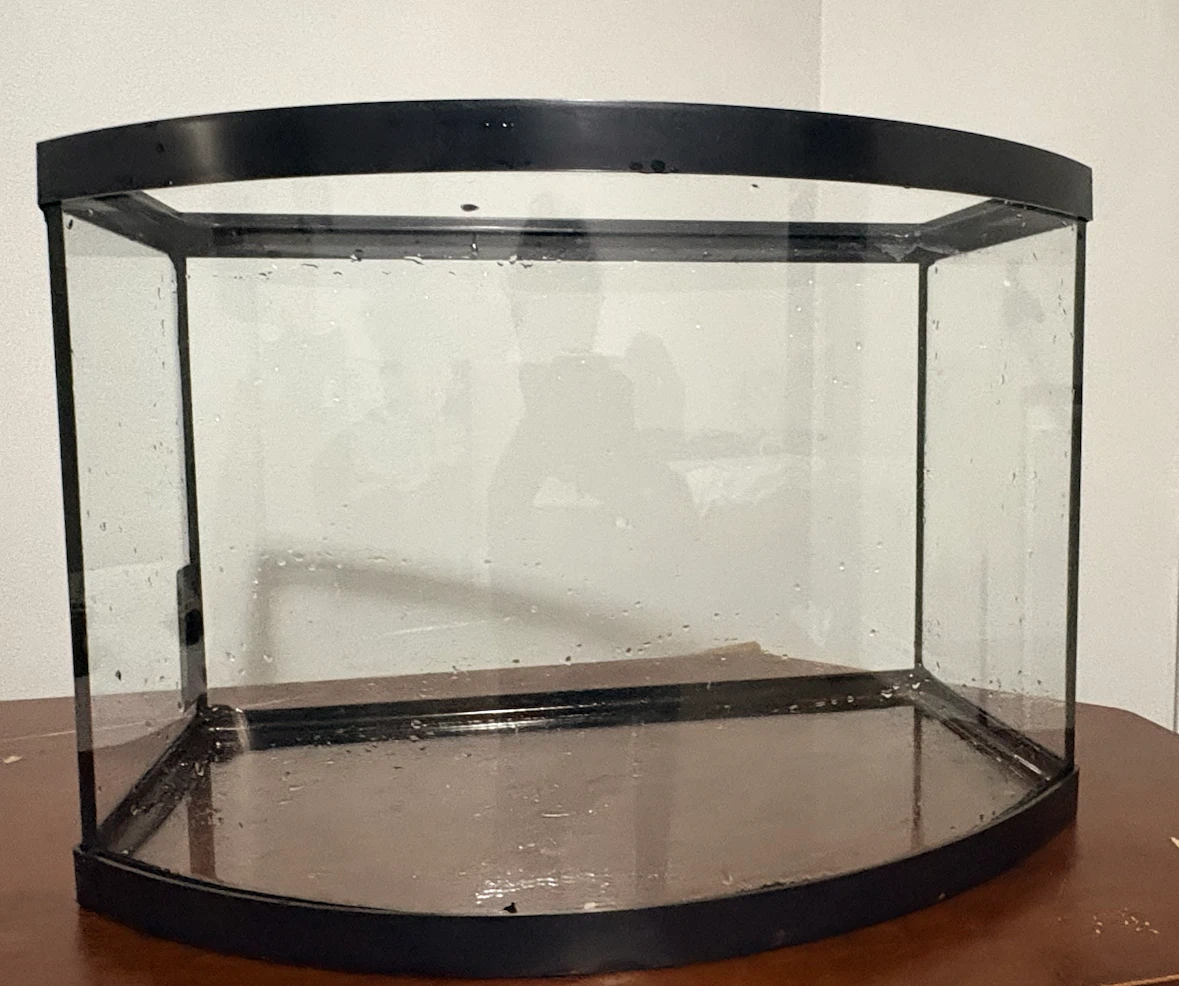 Curved front glass aquarium tank - photo 4