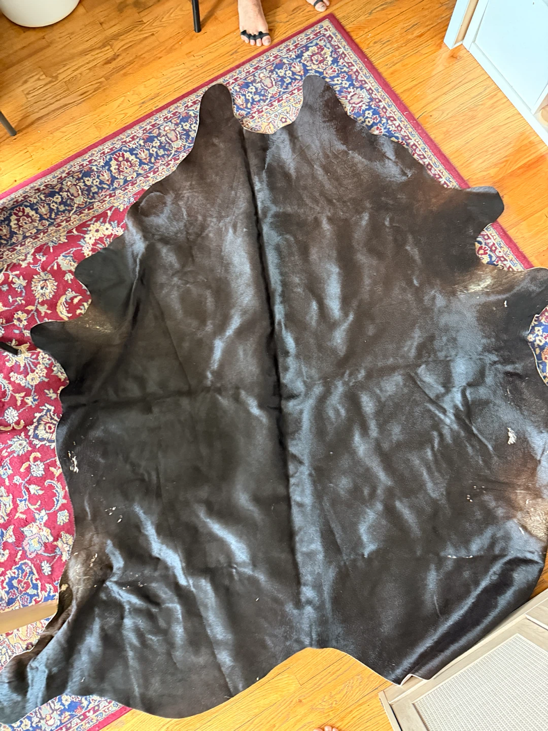 Dark Brown Cowhide Rug