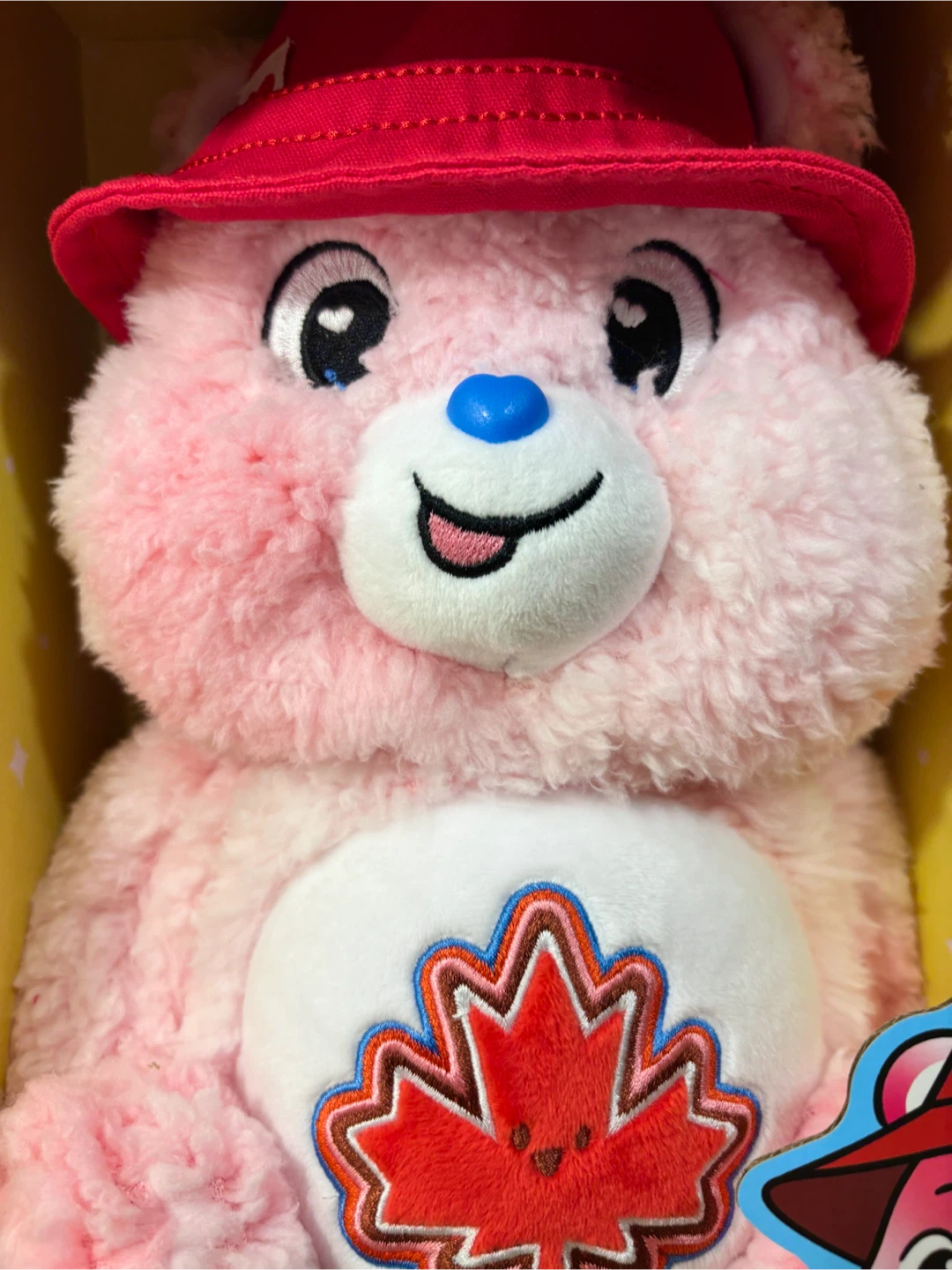 Care Bears True North Bear - 2026 Canadian Exclusive - NEW - photo 2
