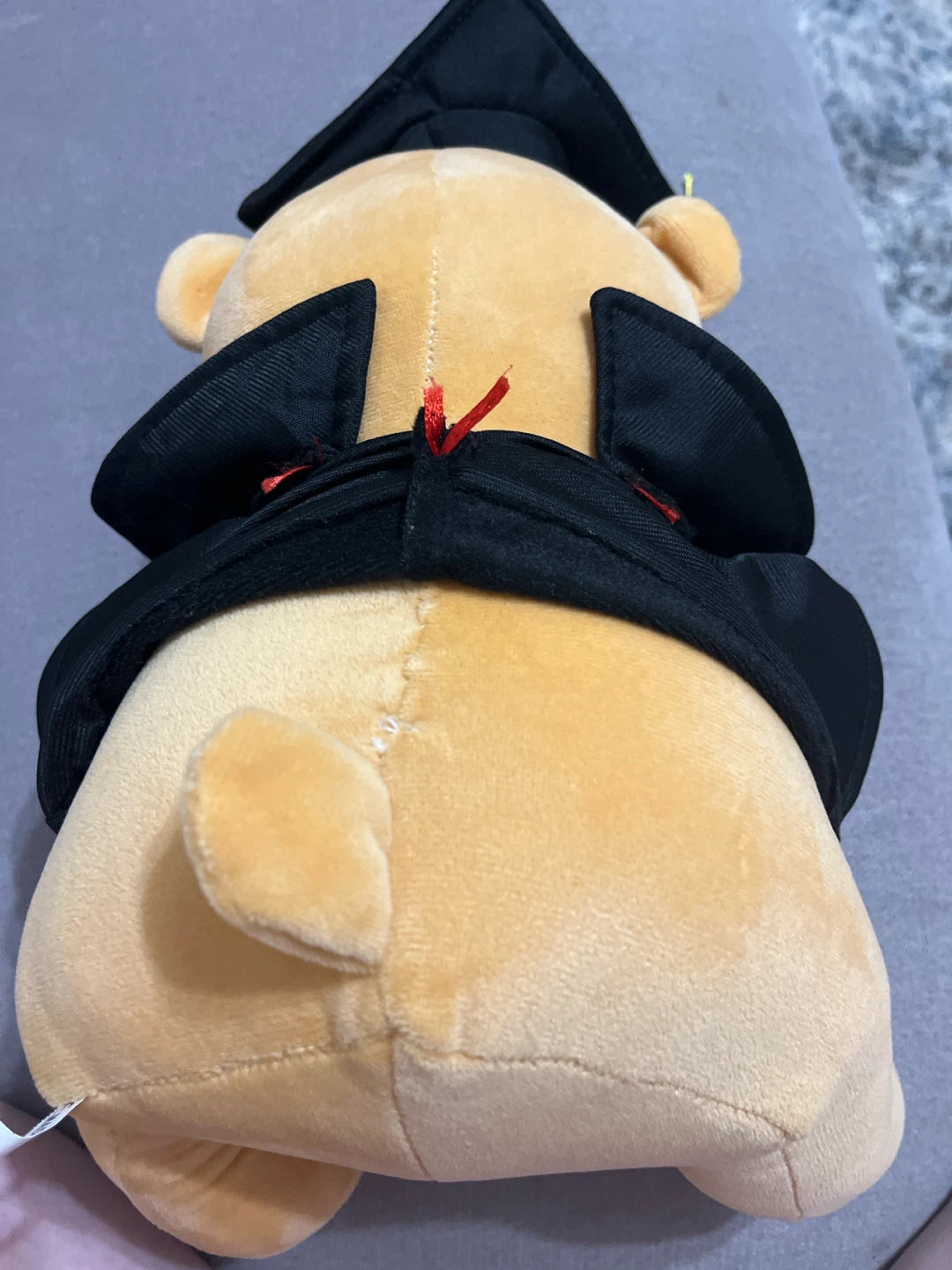Graduation Teddy Bear Plush Toy with Diploma - photo 3