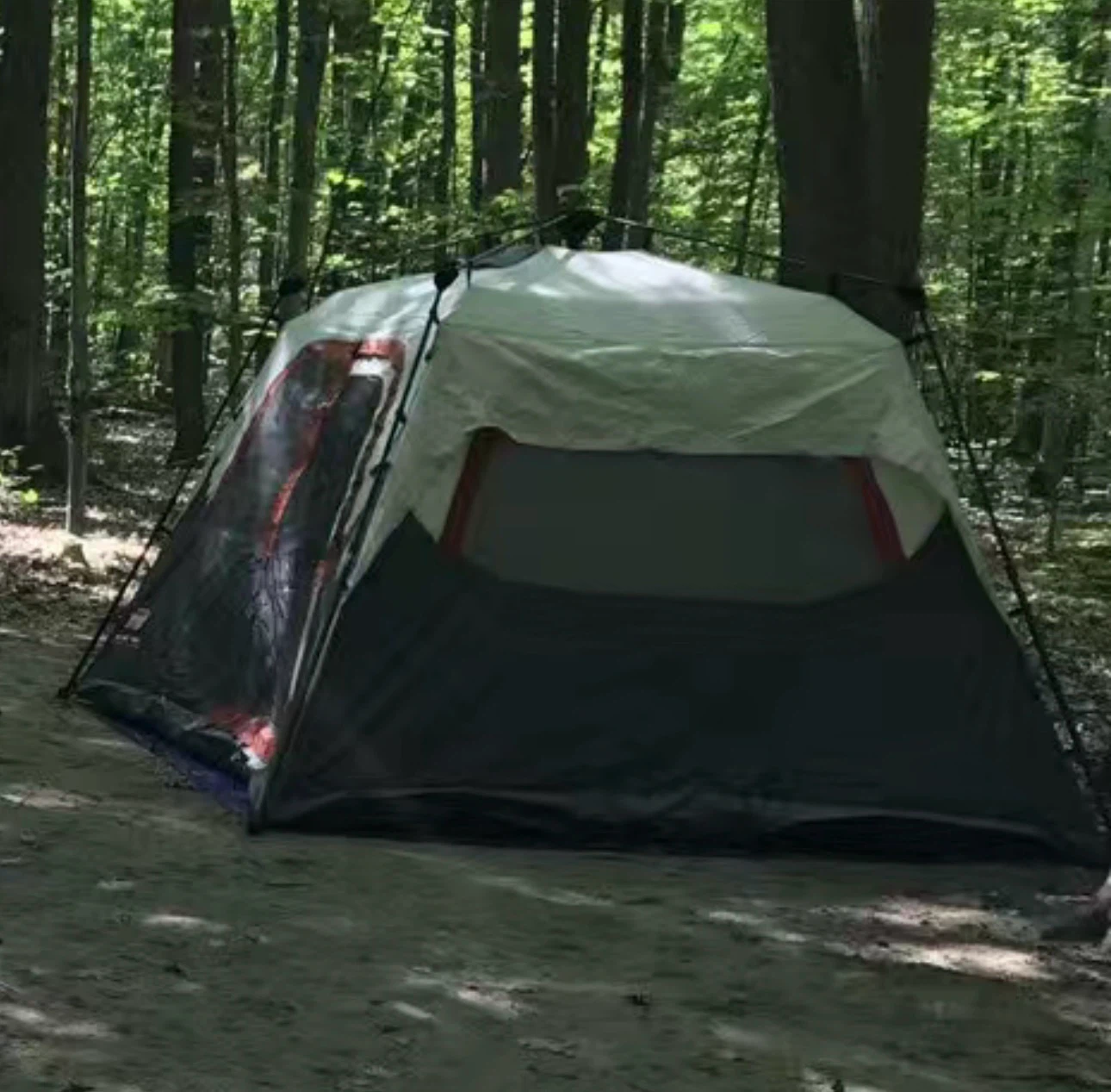 Coleman Instant Tent, 6-Person - photo 5