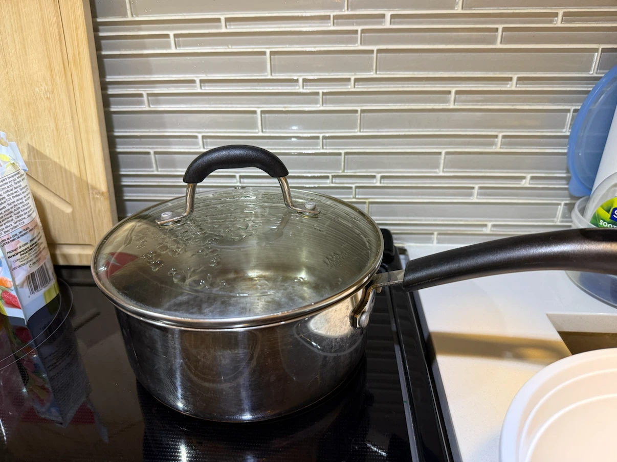 Stainless Steel Saucepan with Lid