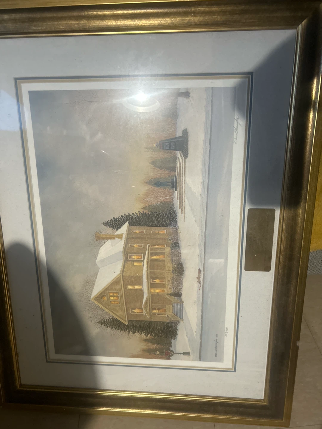 Novo Nordisk Half-Century Award Framed Print