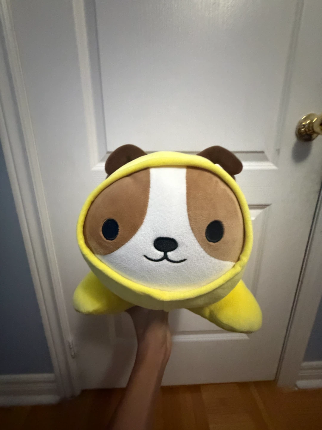 Plush Dog Costume Toy