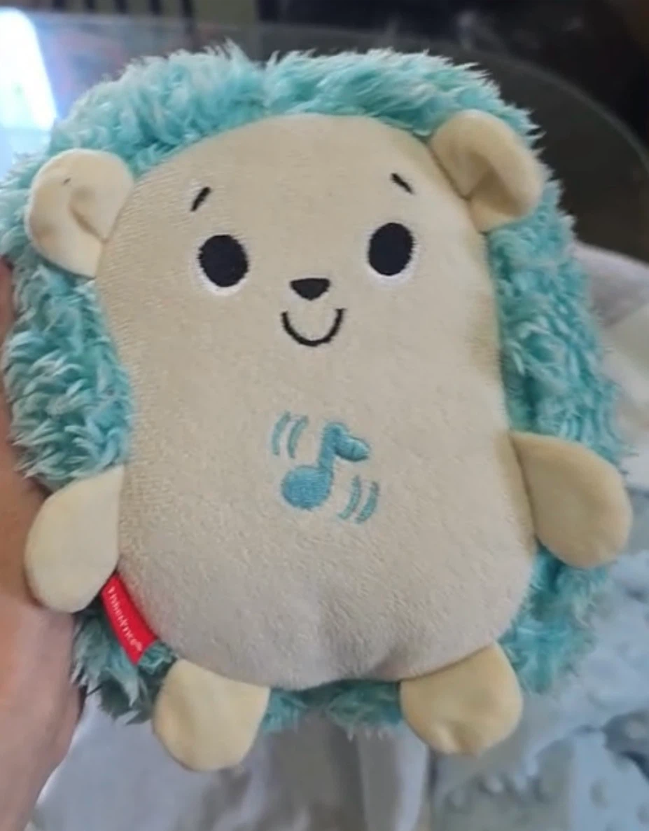 Fisher-Price Musical Hedgehog Plush Toy