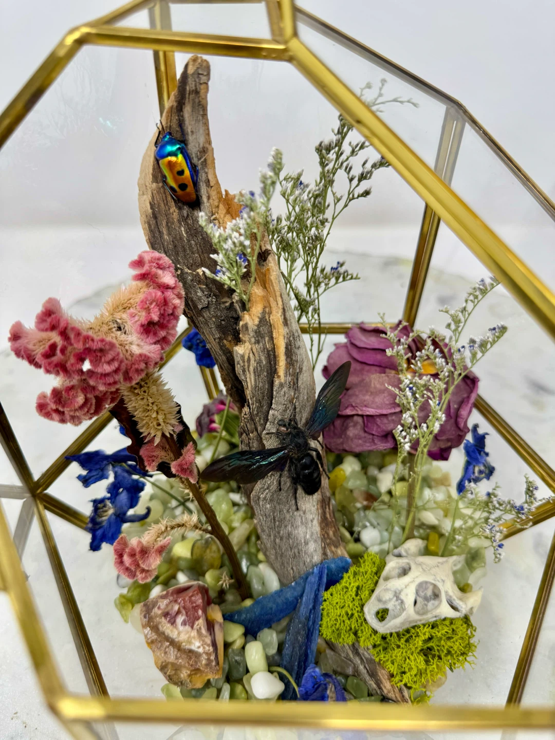 Natural Curiosity Terrarium