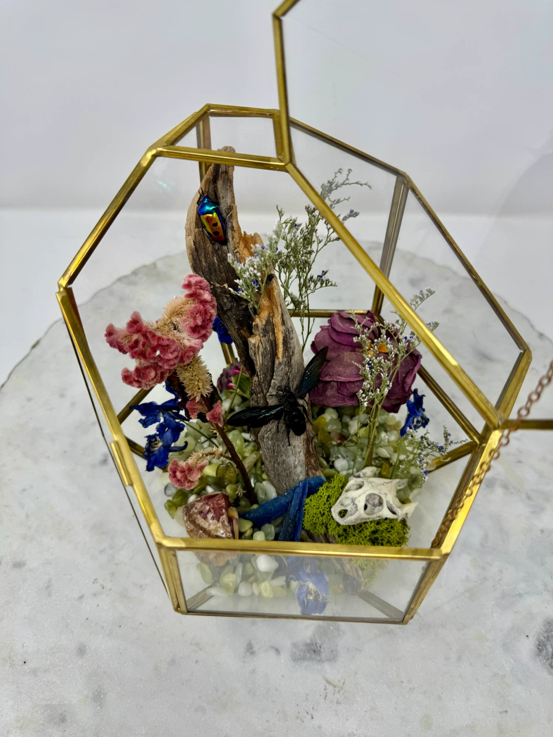 Natural Curiosity Terrarium - photo 2