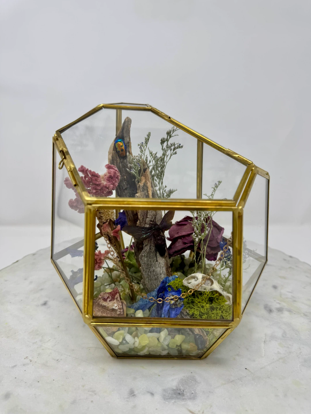 Natural Curiosity Terrarium - photo 3