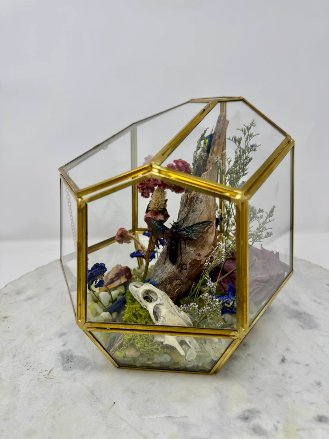 Natural Curiosity Terrarium - photo 4