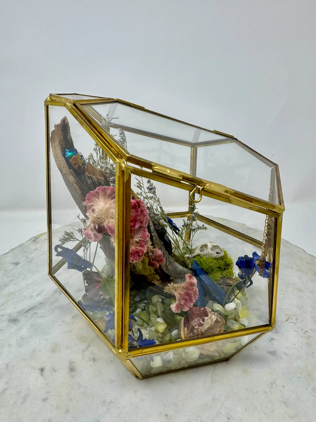Natural Curiosity Terrarium - photo 5