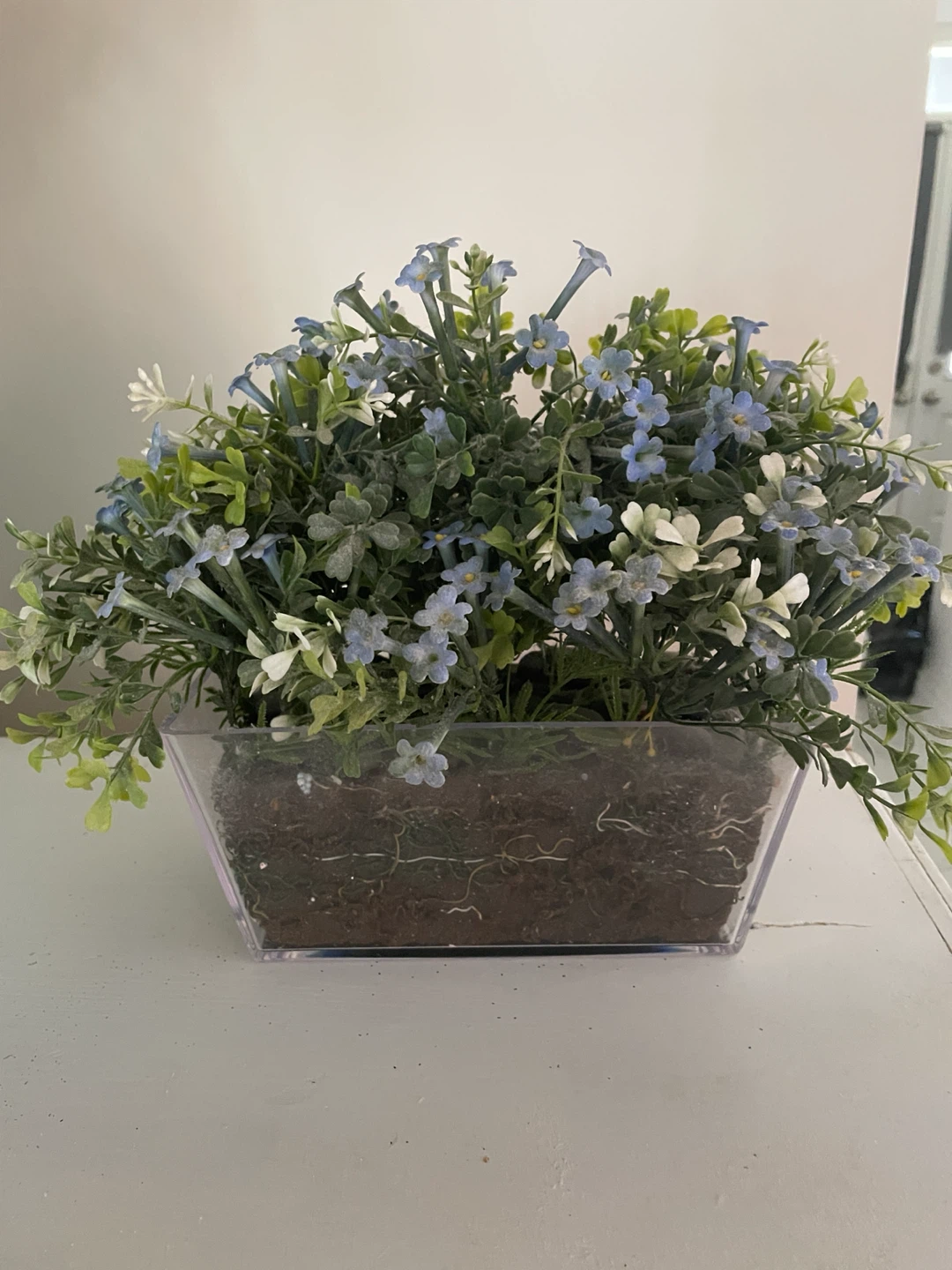 Artificial Plant in Clear Square Pot
