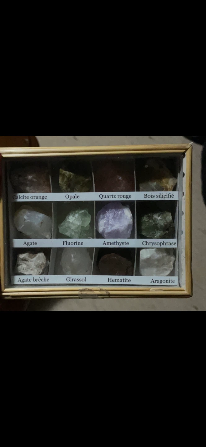 Collection of 12 Mineral Specimens