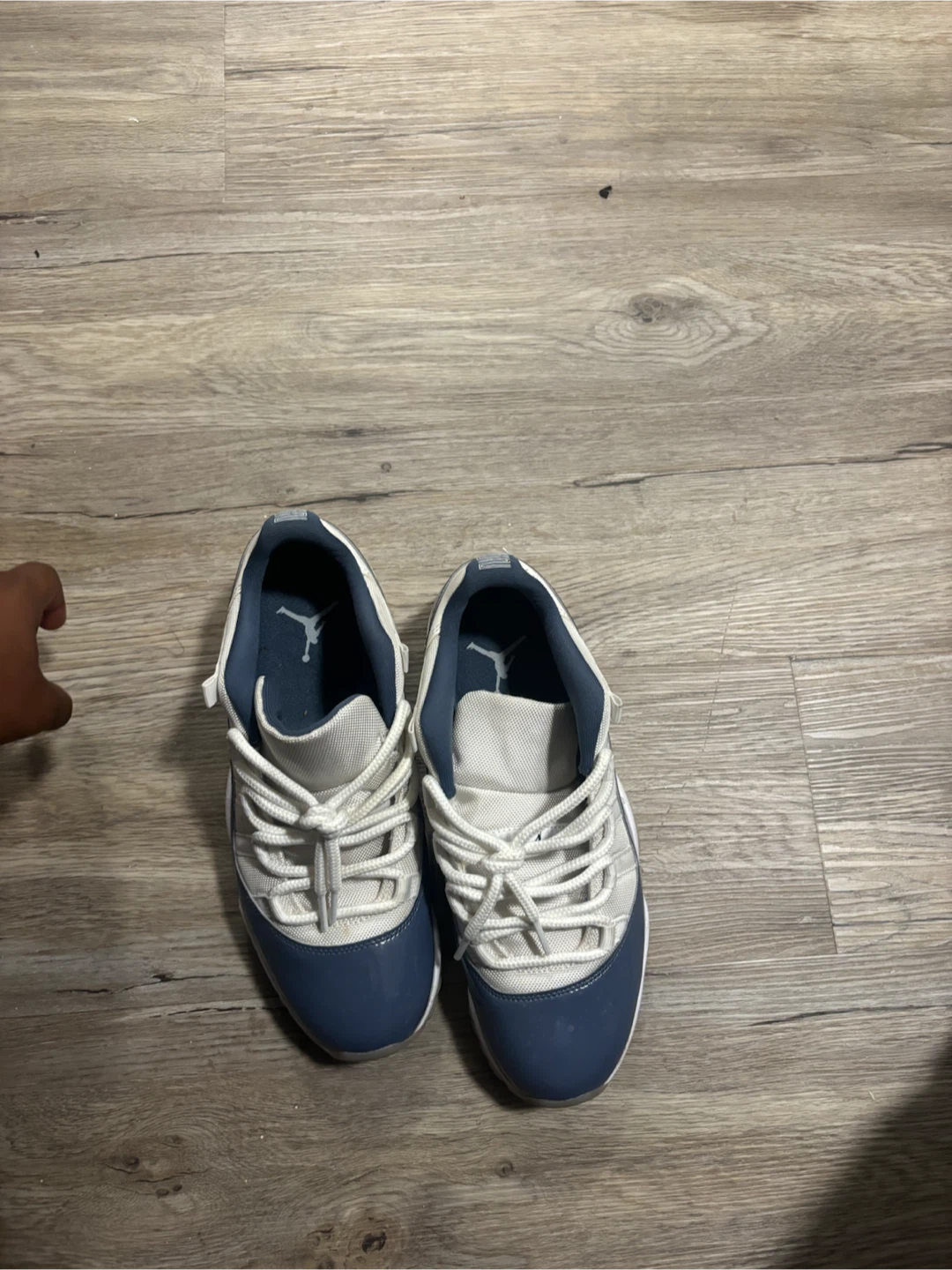 Jordan 11 Retro Low