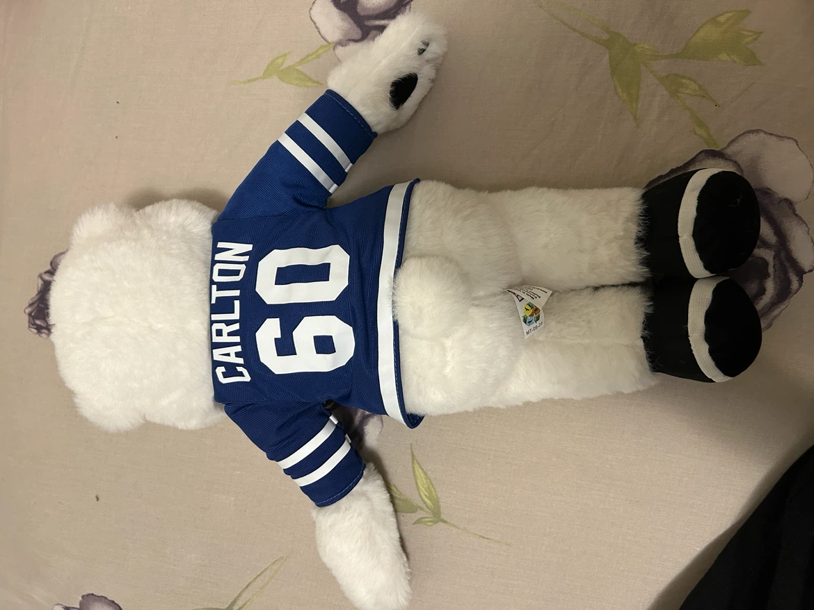 Toronto Maple Leafs & Raptors Plush Toys - photo 2
