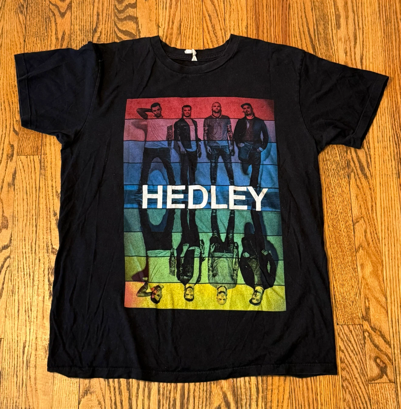 Vintage Hedley "Wild Live" Tour T-Shirt