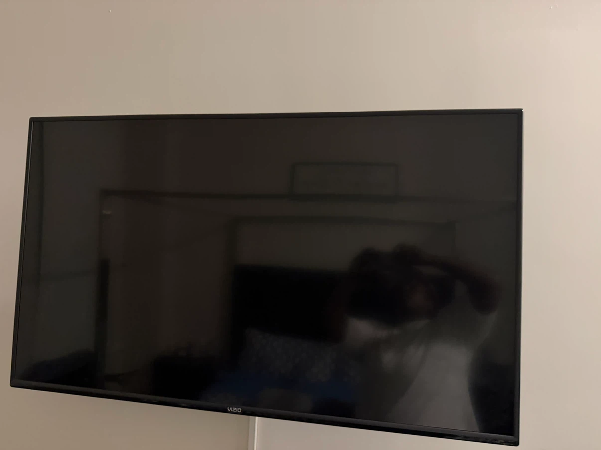 VIZIO Flat Screen TV