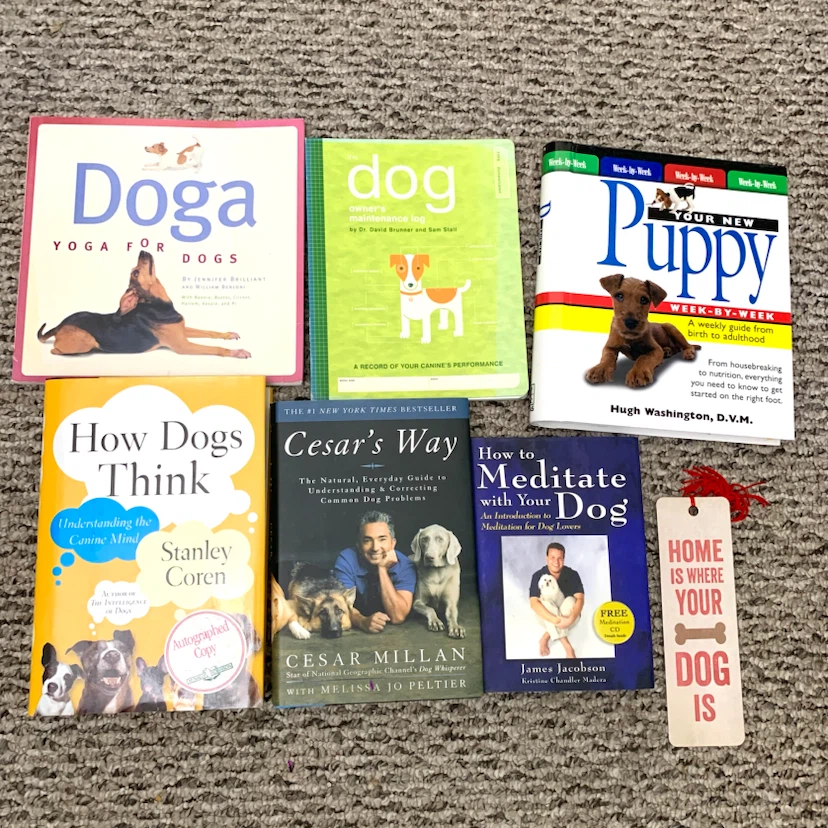 Dog Training and Care Books - Your New Puppy, Cesar's Way & More