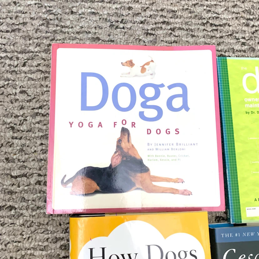 Dog Training and Care Books - Your New Puppy, Cesar's Way & More - photo 2