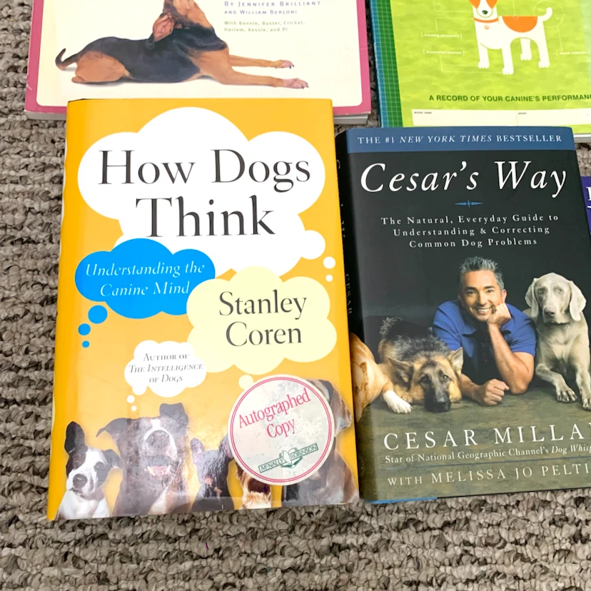Dog Training and Care Books - Your New Puppy, Cesar's Way & More - photo 4