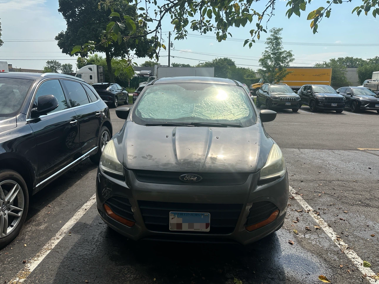 Gray 2014 Ford Escape S SUV - photo 3