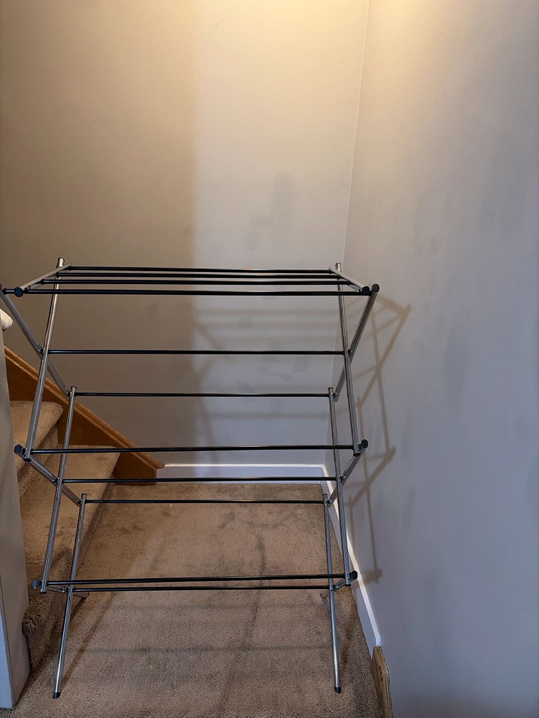Chrome and Black Metal Shoe Rack