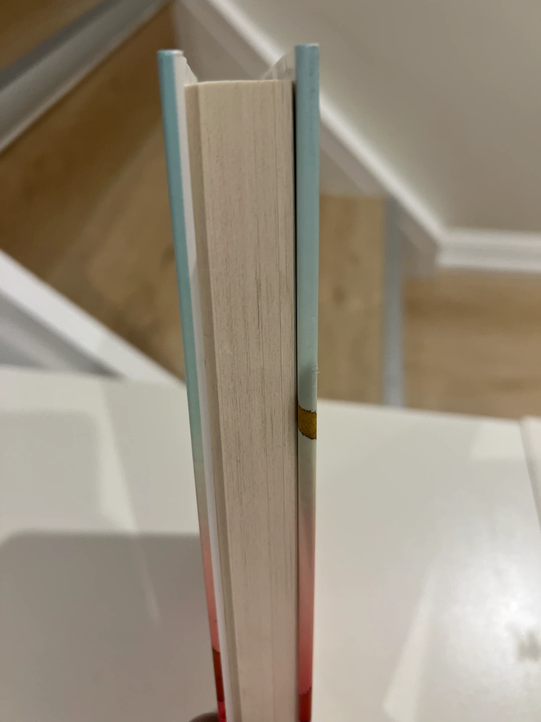 The donut legion book - photo 4