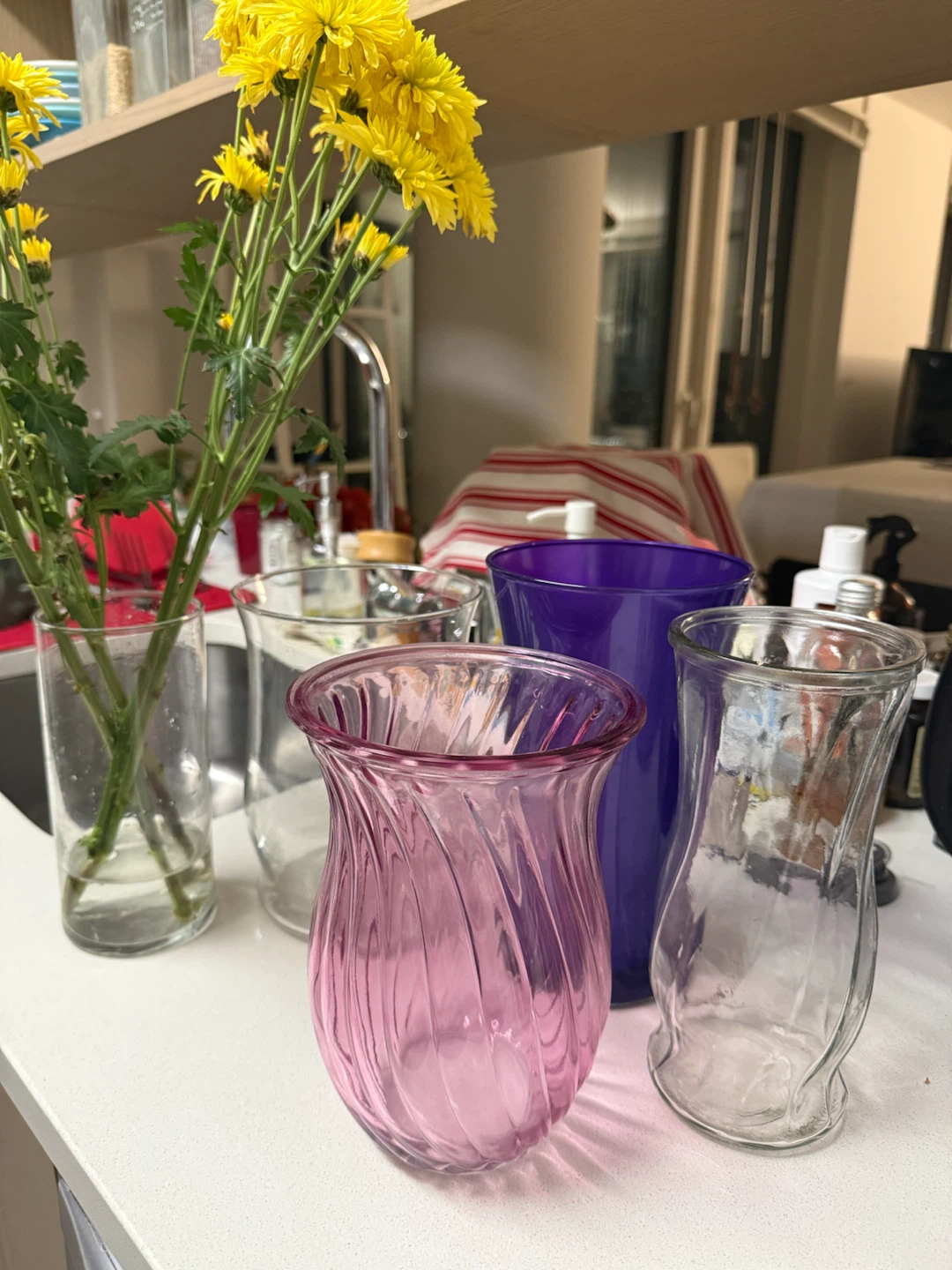 Set of 5 Glass Vases