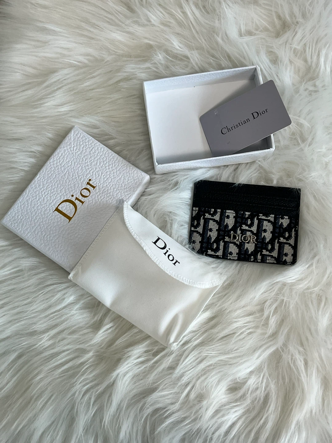 Christian Dior Card Holder