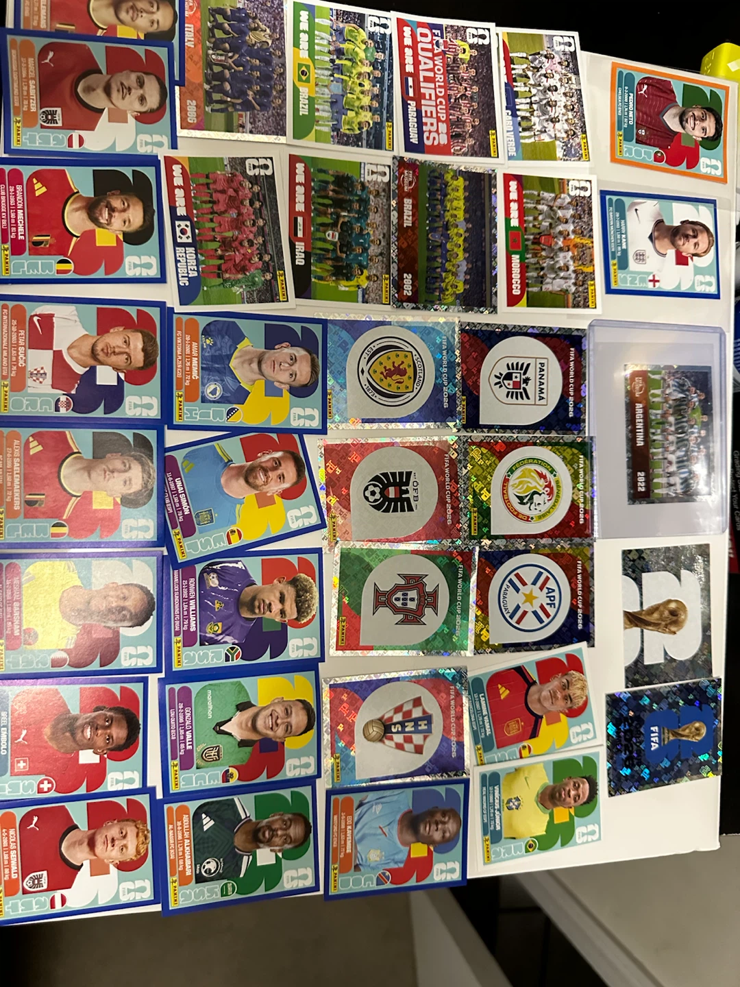 Panini world cup 2026 sticker