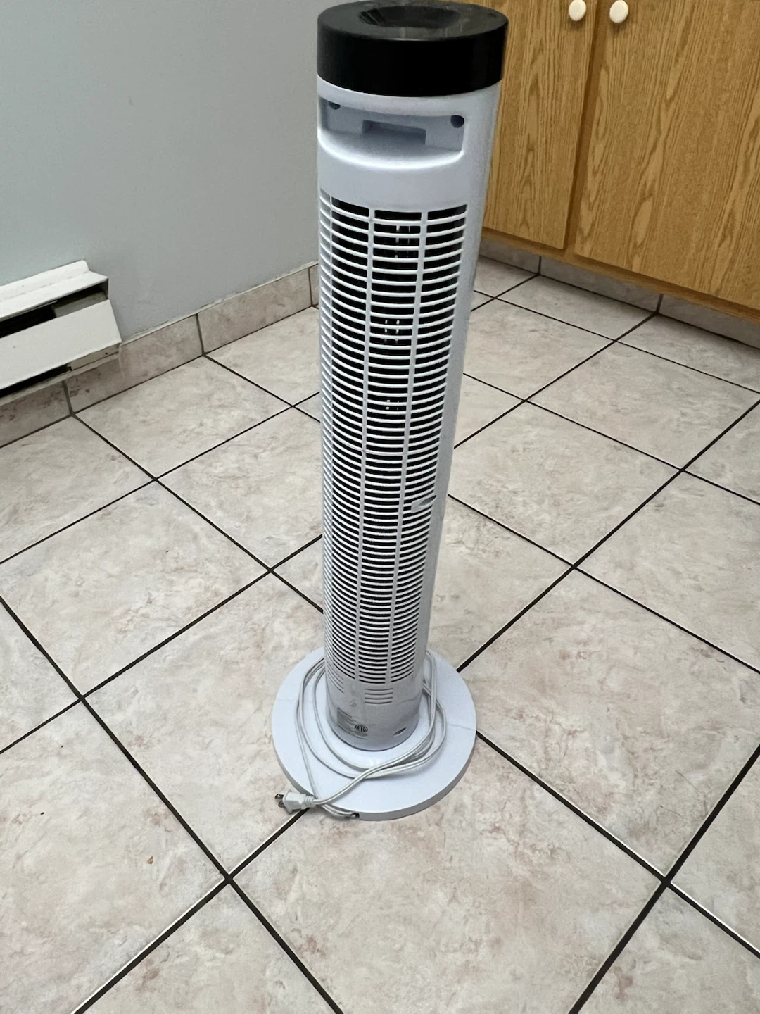 Tower Fan MOVING SALE