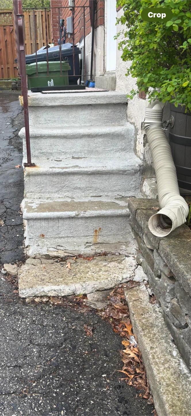 Concrete  repair / framing carpenter