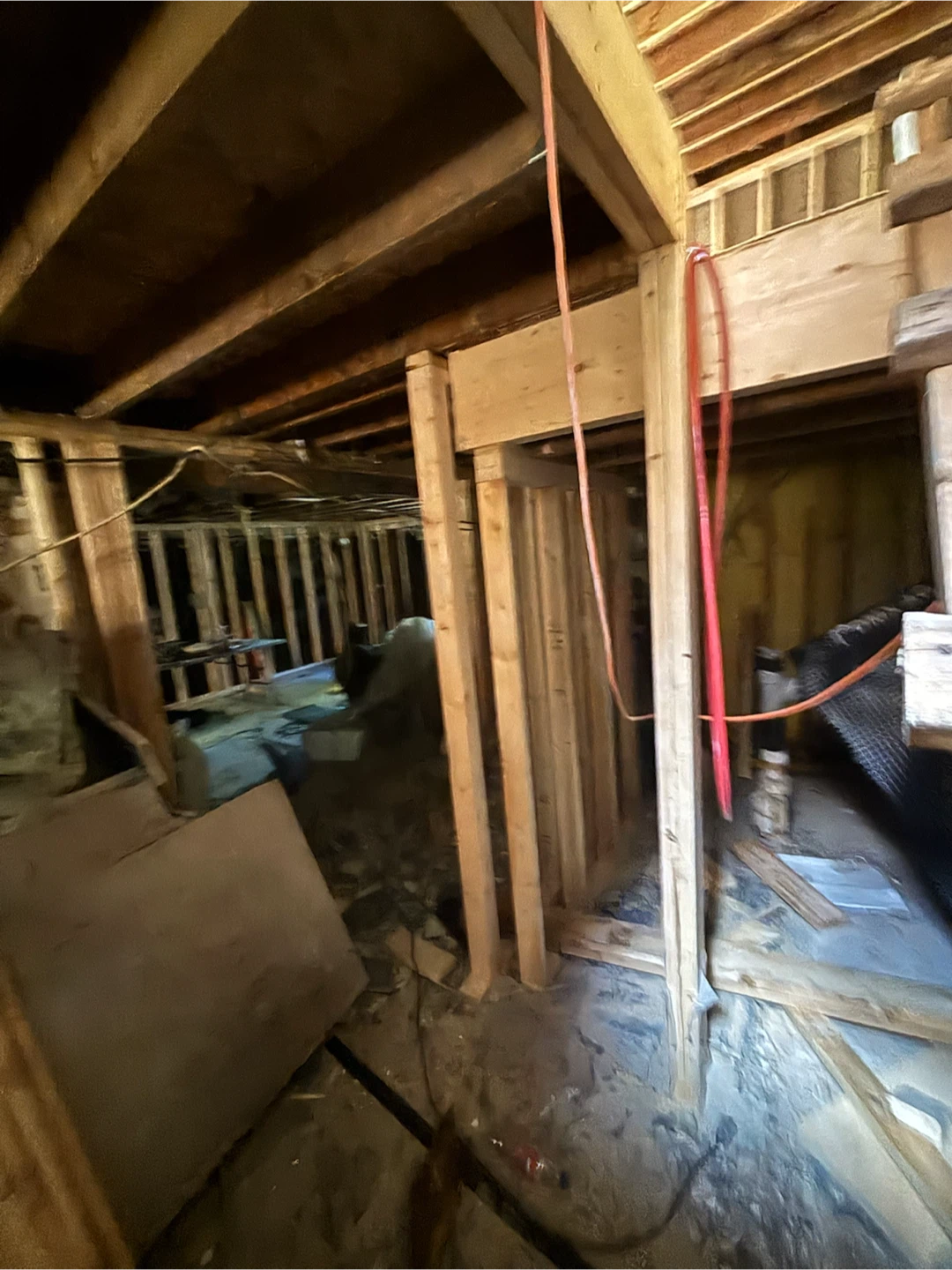 Concrete  repair / framing carpenter - photo 5
