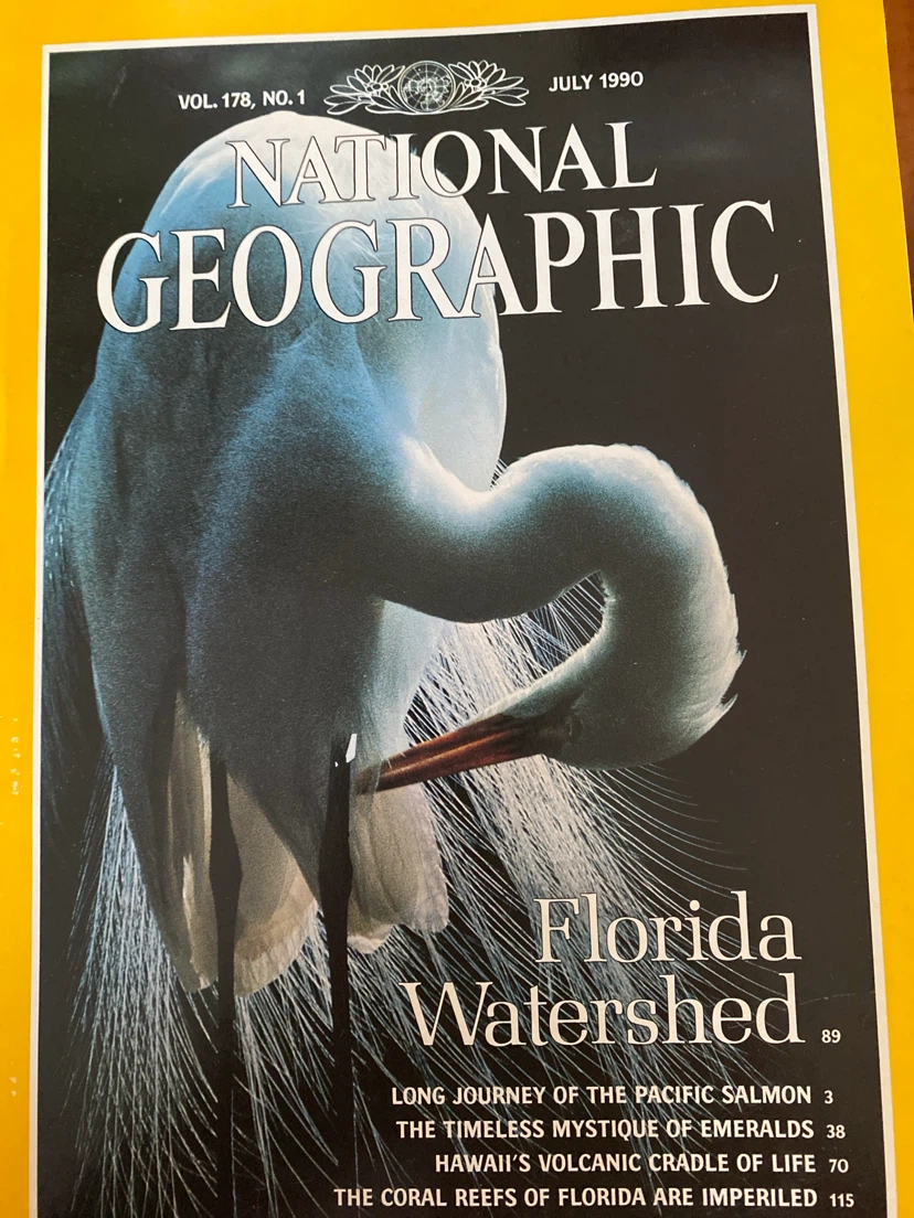 National Geographic Magazines - 1990 Collection