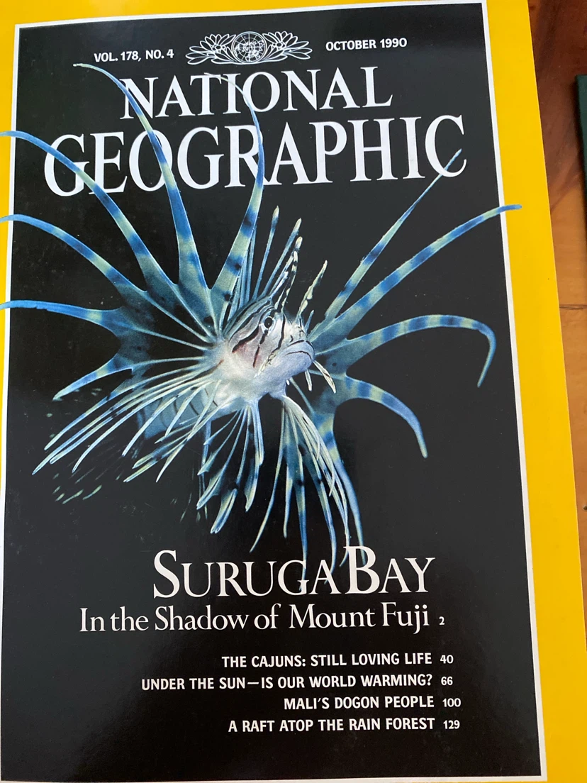 National Geographic Magazines - 1990 Collection - photo 3