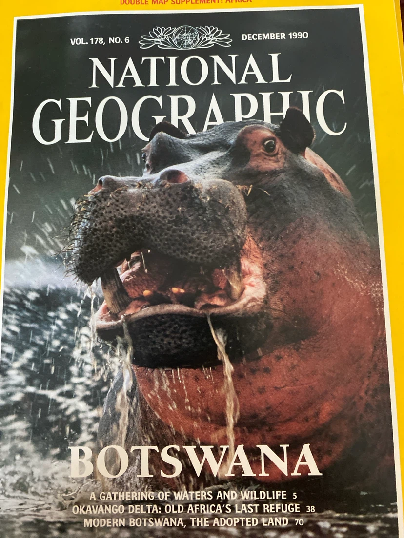 National Geographic Magazines - 1990 Collection - photo 5