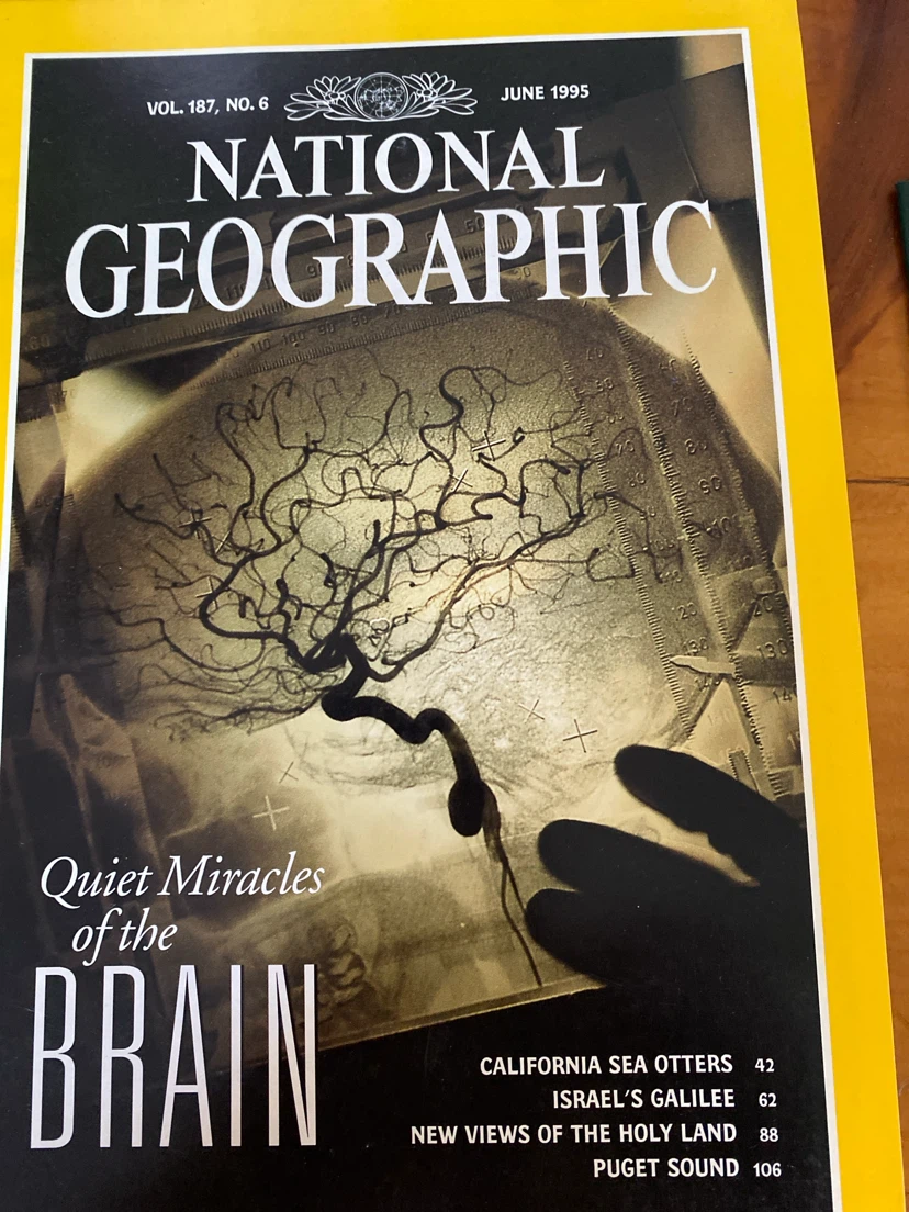 National Geographic Magazines - 1995 Collection