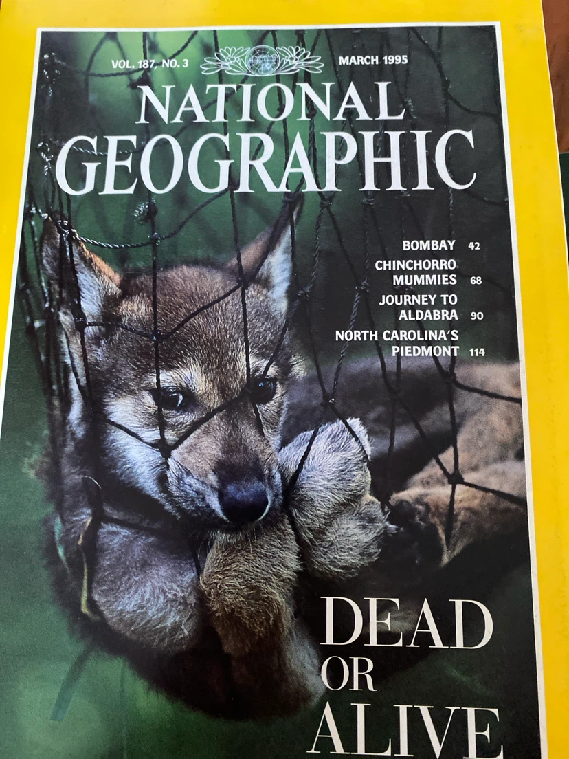 National Geographic Magazines - 1995 Collection - photo 4