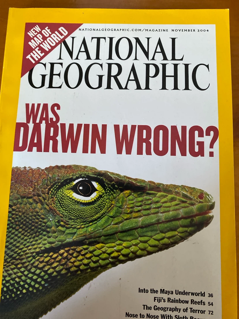 National Geographic Magazines - February to August 2004