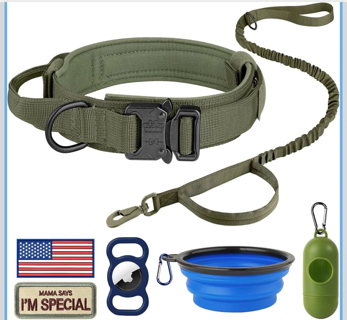 Dog Collar Leash Set with Collapsible Bowl