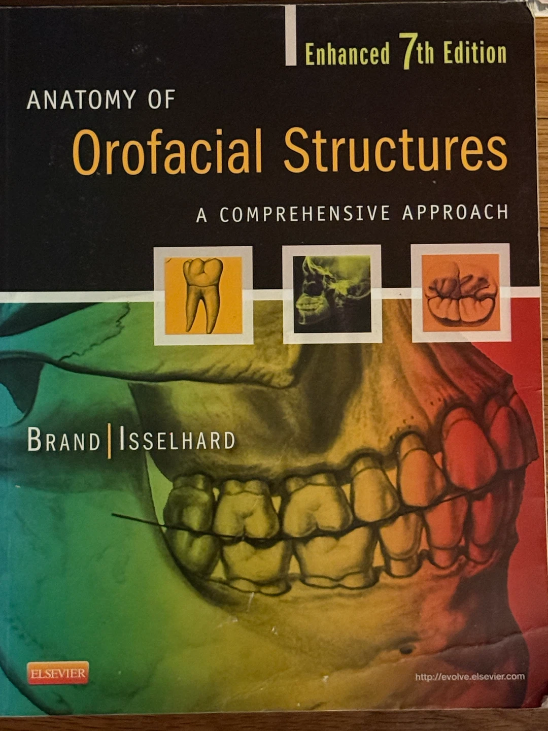 Dental hygiene books - photo 5
