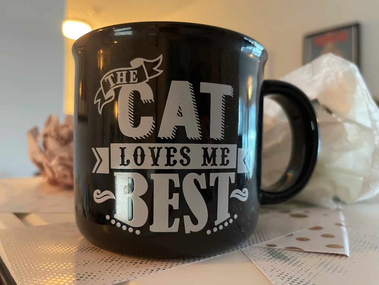 "The Cat Loves Me Best" Mug