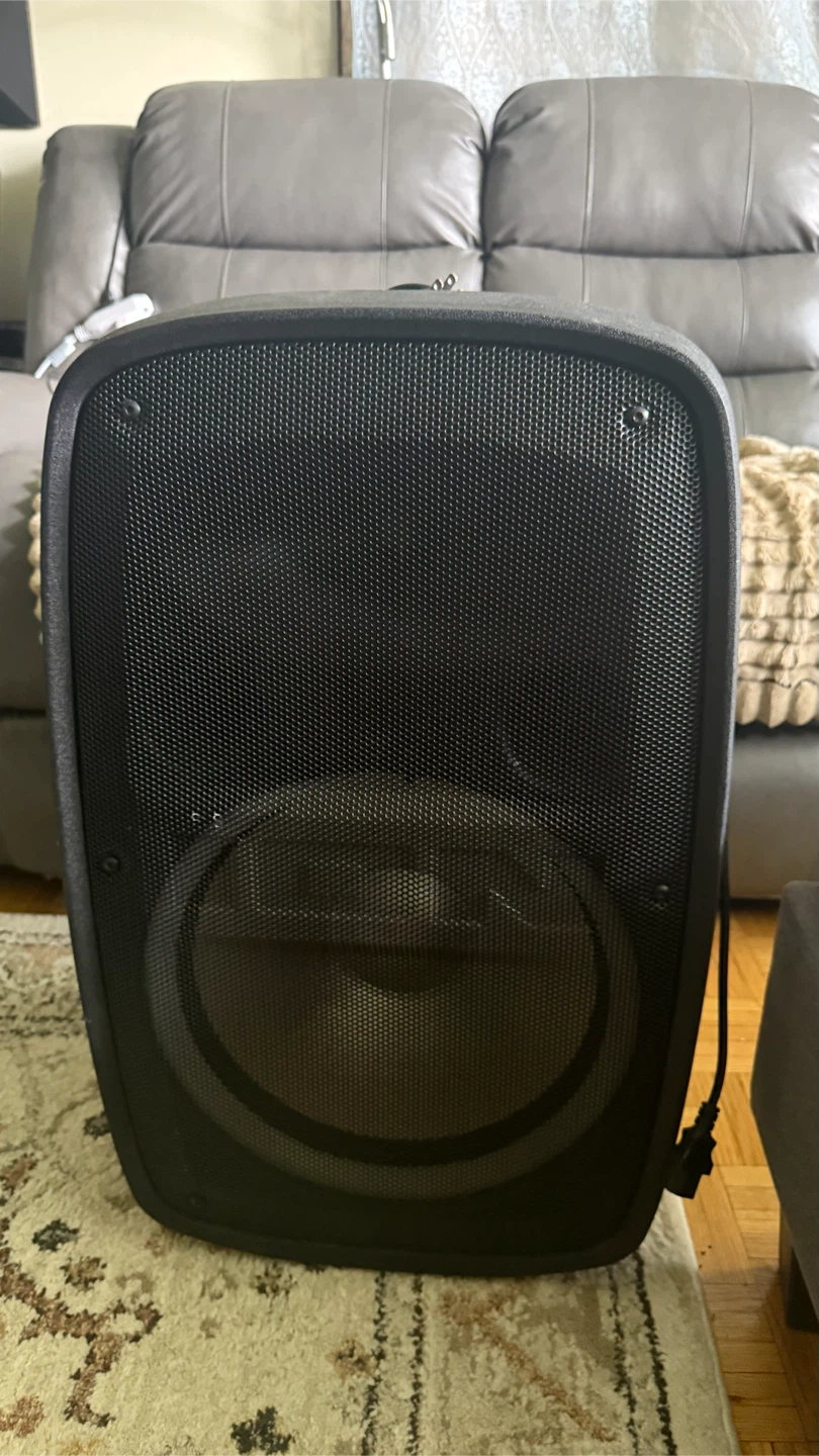 Black Powered Speaker