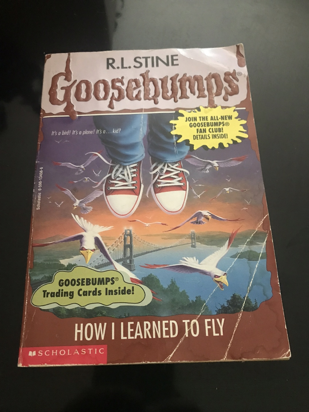 R.L. Stine Goosebumps: How I Learned to Fly Book