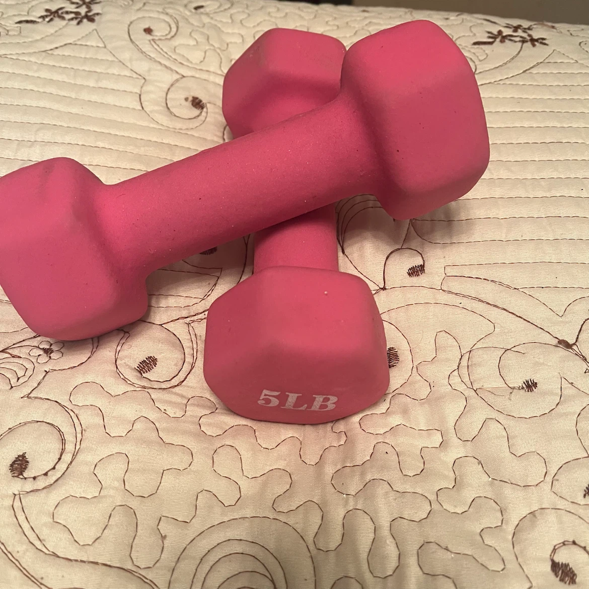 Pink Dumbbells - 5LB Each