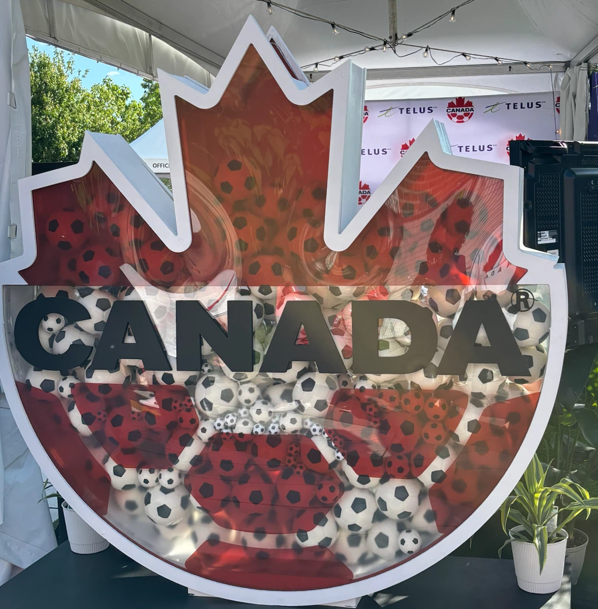 Fifa Fanfest July 11th Saturday 2:30 pm to 12 am - photo 2