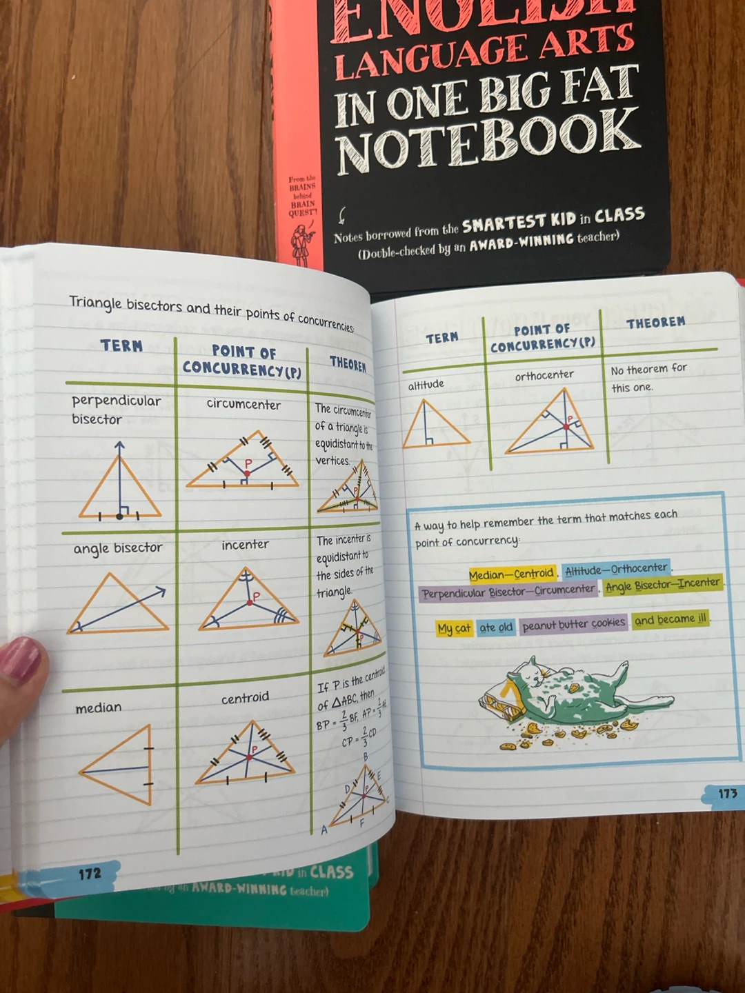 Everything You Need to Ace Study Notebooks - photo 4