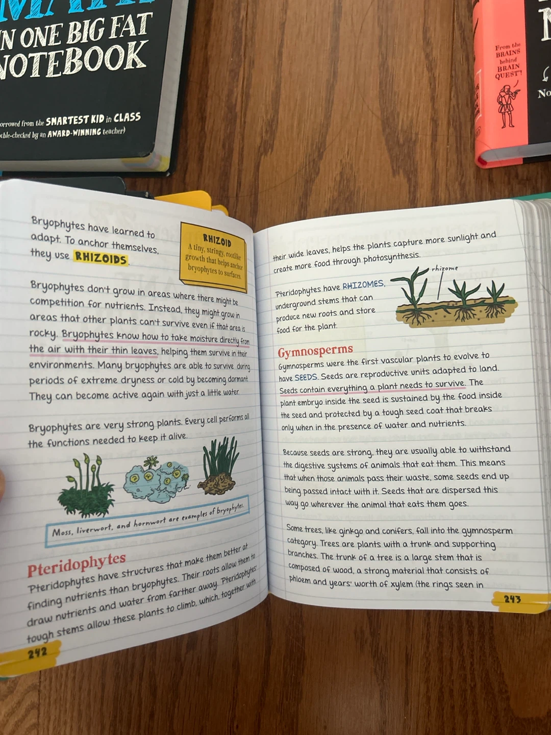 Everything You Need to Ace Study Notebooks - photo 5