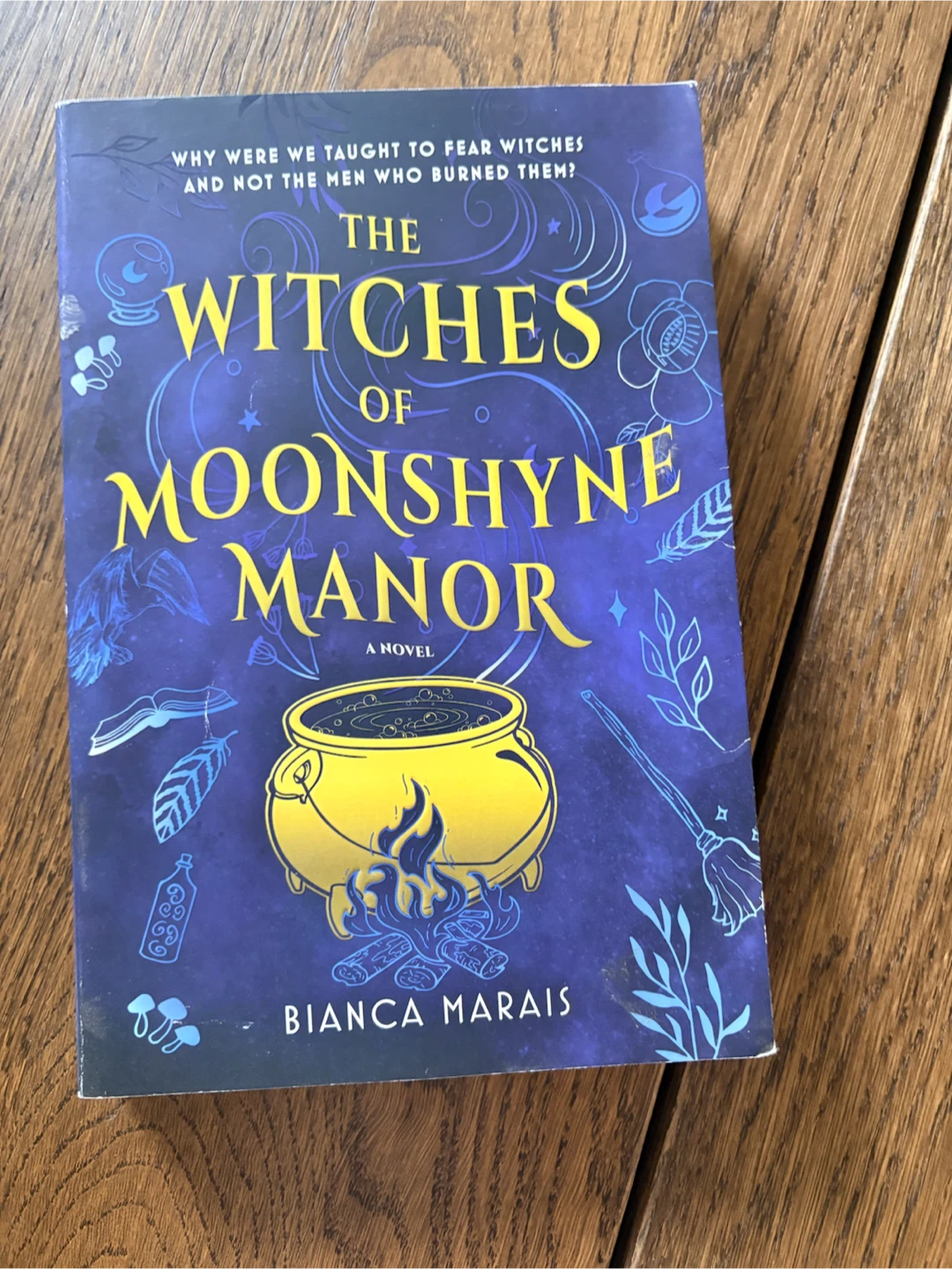 The Witches of Moonshyne Manor by Bianca Marais